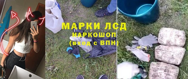 индика Баксан