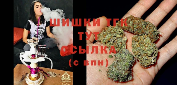 индика Баксан
