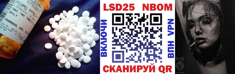 где купить наркоту  Курчалой  Лсд 25 экстази ecstasy 