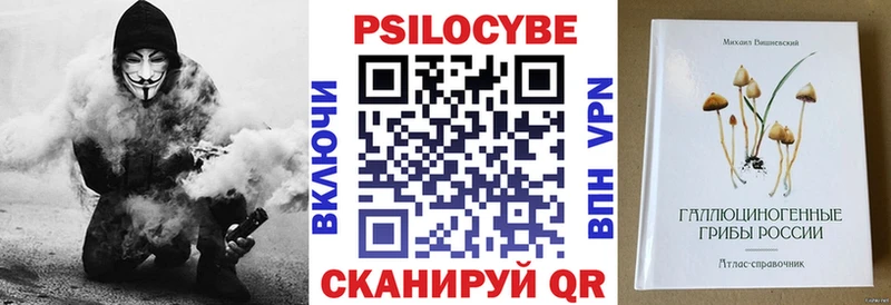 кракен сайт  Курчалой  Галлюциногенные грибы прущие грибы 