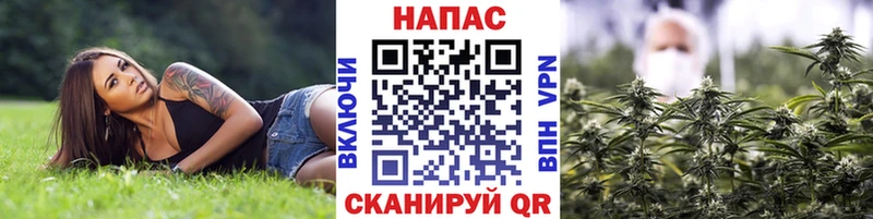 Конопля AK-47  Курчалой 
